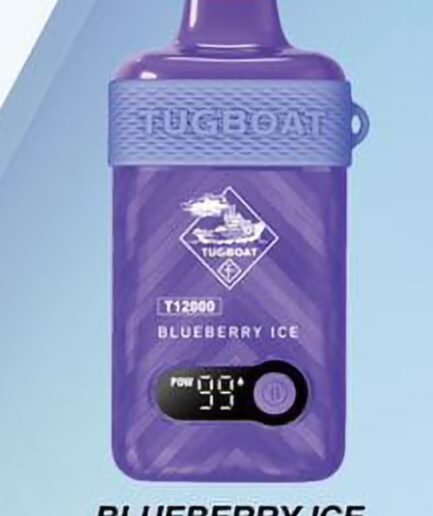 TUGBOAT T12000 Blueberry Ice