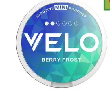 Velo Berry Froest Mini Nicotine Puches 2dots